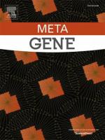 Meta Gene