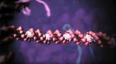 How DNA works (  )