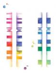 XII научная конференция. Генетика человека и патология: Актуальные проблемы клинической и молекулярной цитогенетики