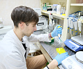 Учимся считать хромосомы: как работает молодежная лаборатория инструментальной геномики